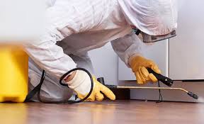 Emergency Pest Control Services in College Station, TX